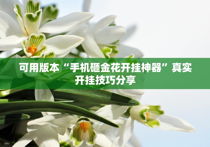 可用版本“手机砸金花开挂神器”真实开挂技巧分享