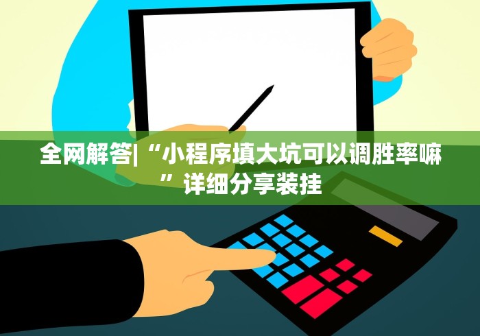 全网解答|“小程序填大坑可以调胜率嘛”详细分享装挂