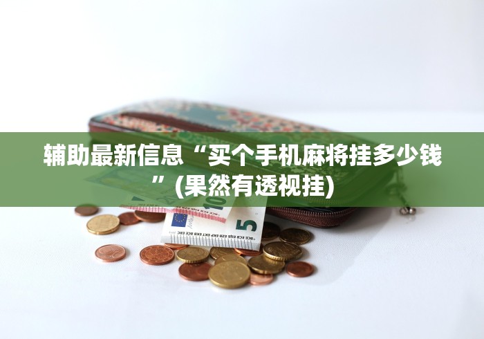 辅助最新信息“买个手机麻将挂多少钱”(果然有透视挂)