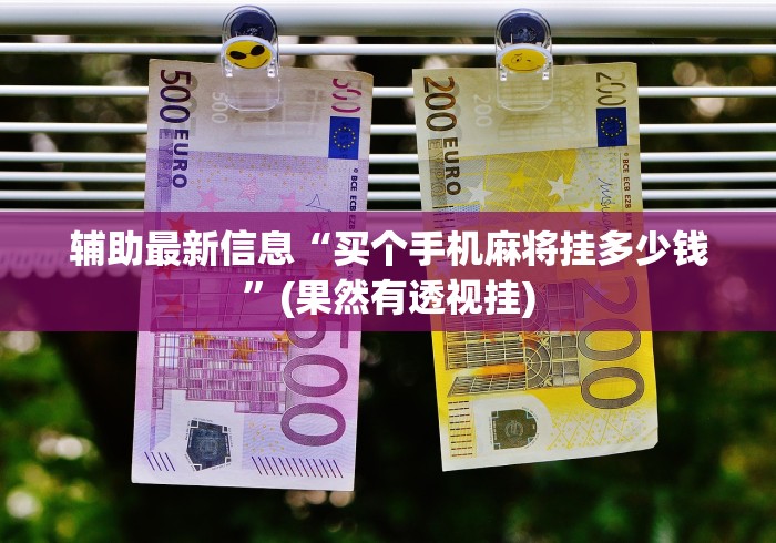 辅助最新信息“买个手机麻将挂多少钱”(果然有透视挂)
