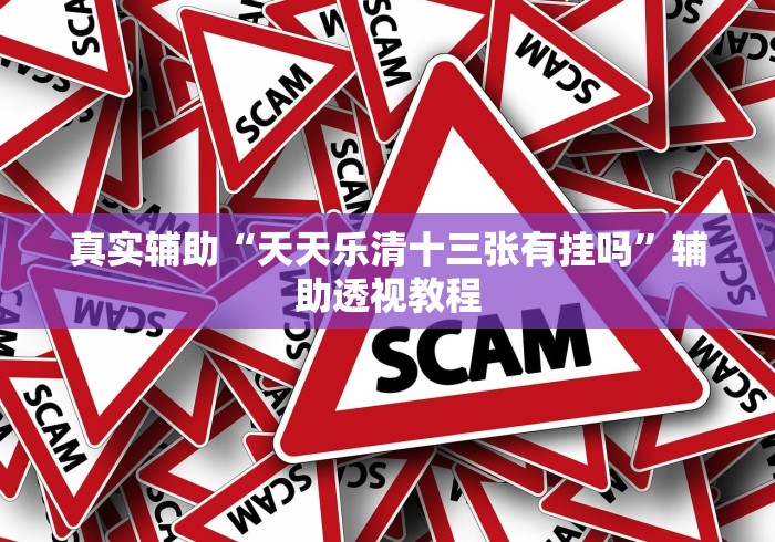 真实辅助“天天乐清十三张有挂吗”辅助透视教程