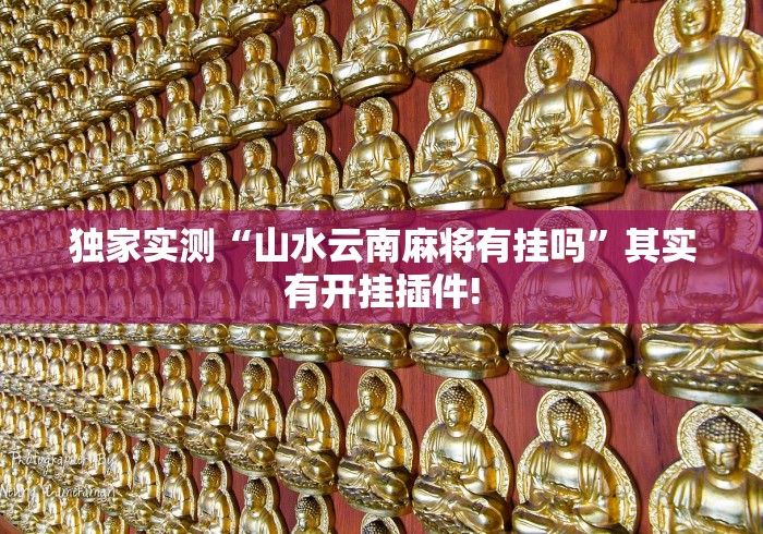 独家实测“山水云南麻将有挂吗”其实有开挂插件!