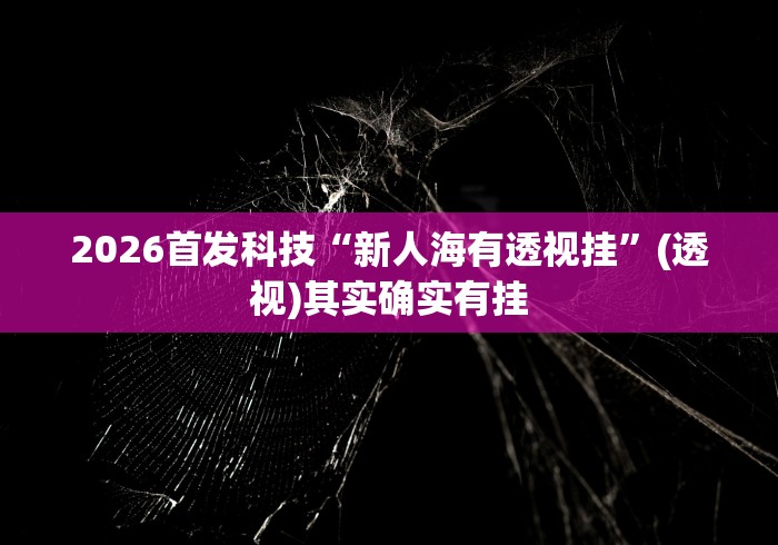 2026首发科技“新人海有透视挂”(透视)其实确实有挂