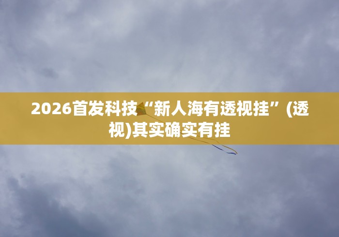 2026首发科技“新人海有透视挂	”(透视)其实确实有挂