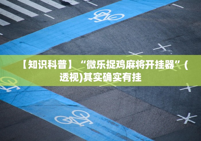 【第一消息】“熊猫麻将到底有没有挂!专业师傅带你一起了解(确实有挂)