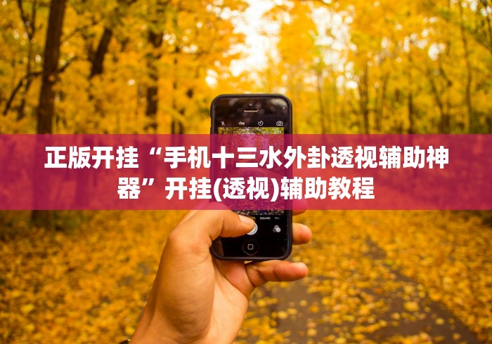 正版开挂“手机十三水外卦透视辅助神器”开挂(透视)辅助教程