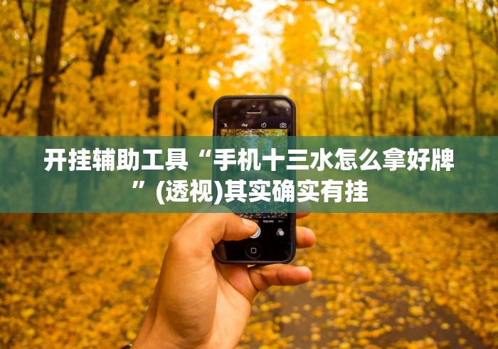 开挂辅助工具“手机十三水怎么拿好牌”(透视)其实确实有挂