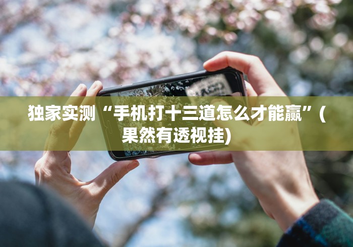独家实测“手机打十三道怎么才能赢”(果然有透视挂)