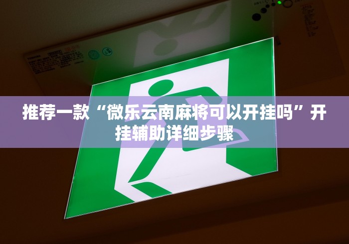 推荐一款“微乐云南麻将可以开挂吗”开挂辅助详细步骤