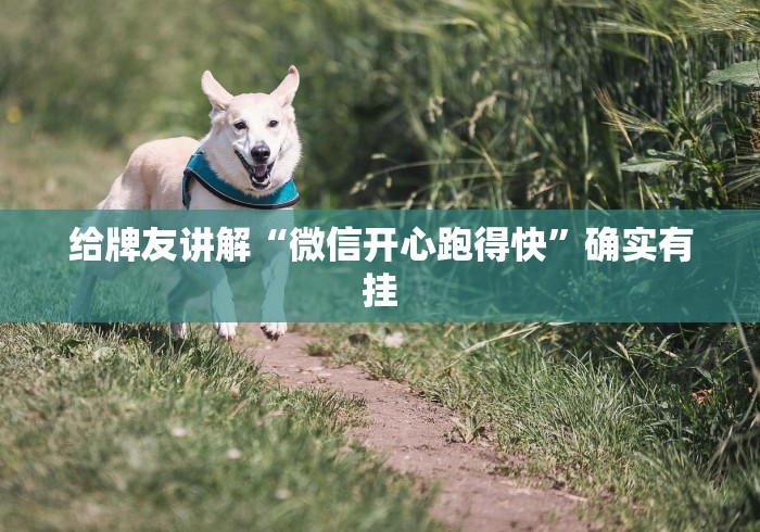 给牌友讲解“微信开心跑得快”确实有挂