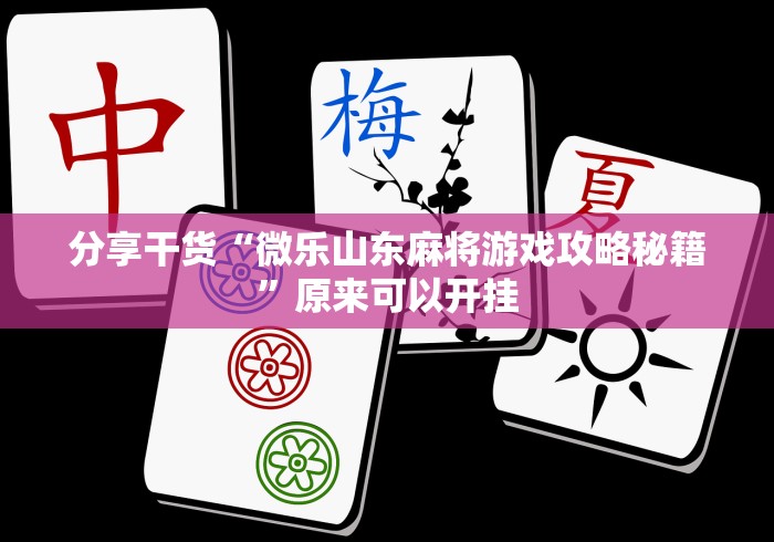 安装程序教程“新猴王大厅有没有挂”详细分享装挂步骤教程