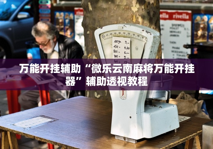 万能开挂辅助“微乐云南麻将万能开挂器”辅助透视教程