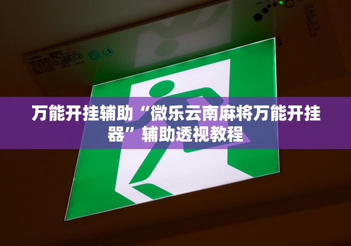 万能开挂辅助“微乐云南麻将万能开挂器	”辅助透视教程