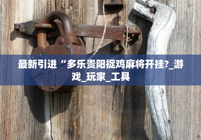 最新引进“多乐贵阳捉鸡麻将开挂?_游戏_玩家_工具