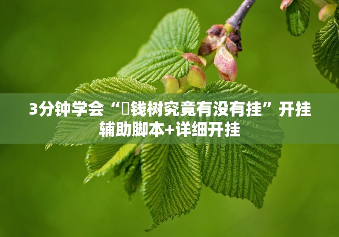 3分钟学会“揺钱树究竟有没有挂”开挂辅助脚本+详细开挂