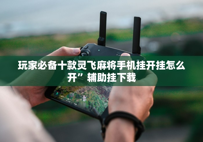 玩家必备十款灵飞麻将手机挂开挂怎么开”辅助挂下载