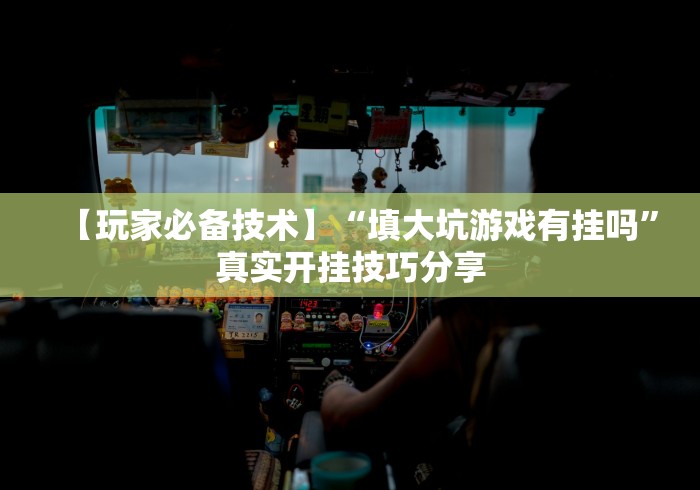 【玩家必备技术】“填大坑游戏有挂吗”真实开挂技巧分享
