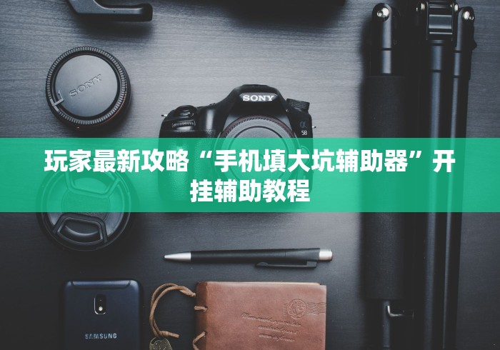 玩家最新攻略“手机填大坑辅助器”开挂辅助教程