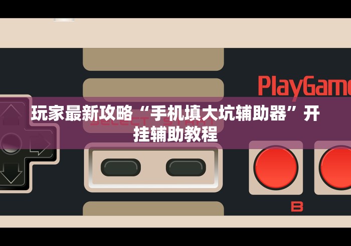 玩家最新攻略“手机填大坑辅助器”开挂辅助教程