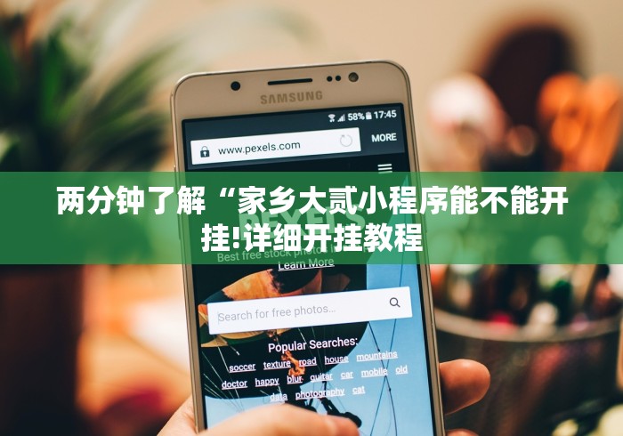 两分钟了解“家乡大贰小程序能不能开挂!详细开挂教程