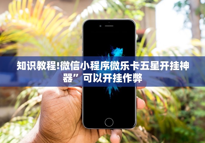 知识教程!微信小程序微乐卡五星开挂神器”可以开挂作弊