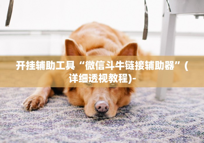 开挂辅助工具“微信斗牛链接辅助器”(详细透视教程)-