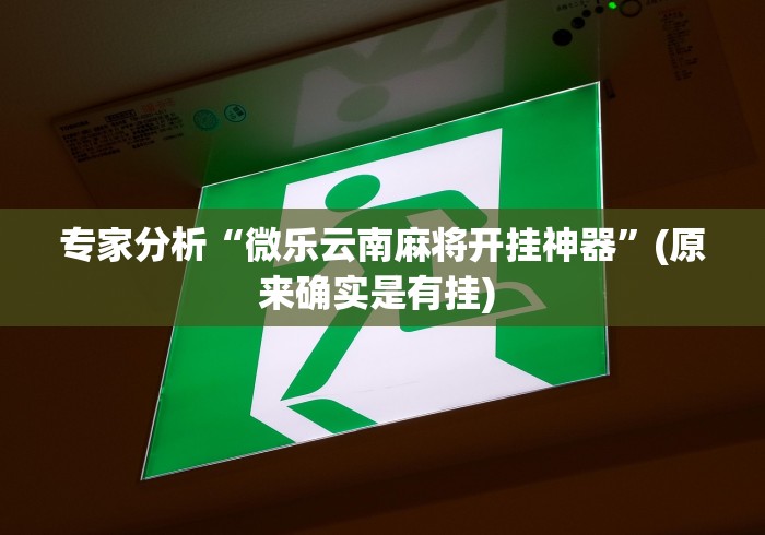 专家分析“微乐云南麻将开挂神器”(原来确实是有挂) 
