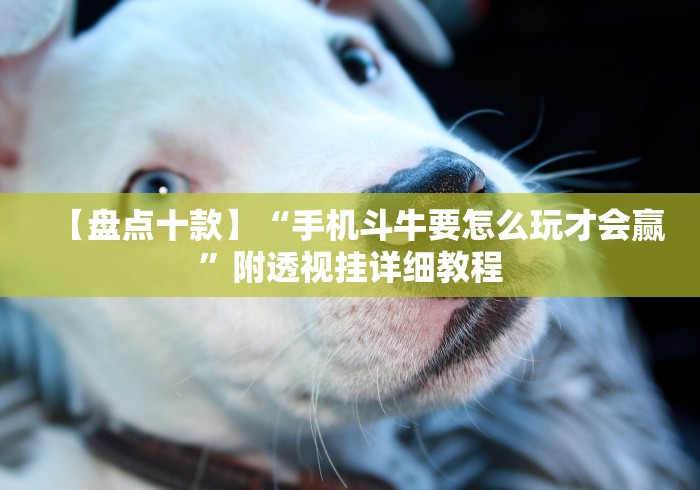 【盘点十款】“手机斗牛要怎么玩才会赢”附透视挂详细教程