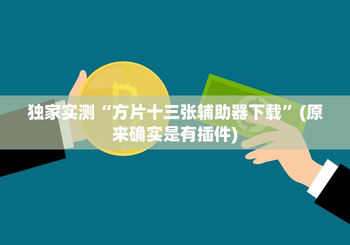 独家实测“方片十三张辅助器下载”(原来确实是有插件)