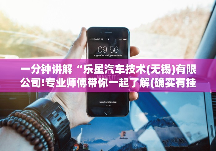 一分钟讲解“乐星汽车技术(无锡)有限公司!专业师傅带你一起了解(确实有挂)