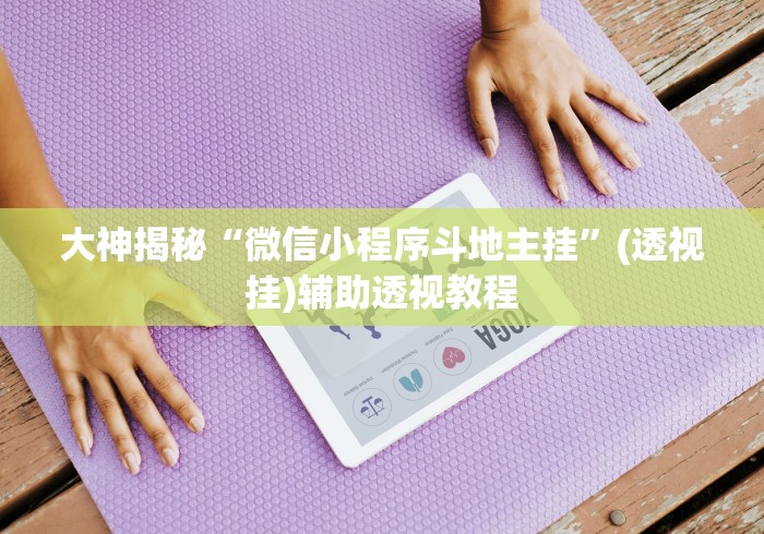 大神揭秘“微信小程序斗地主挂”(透视挂)辅助透视教程