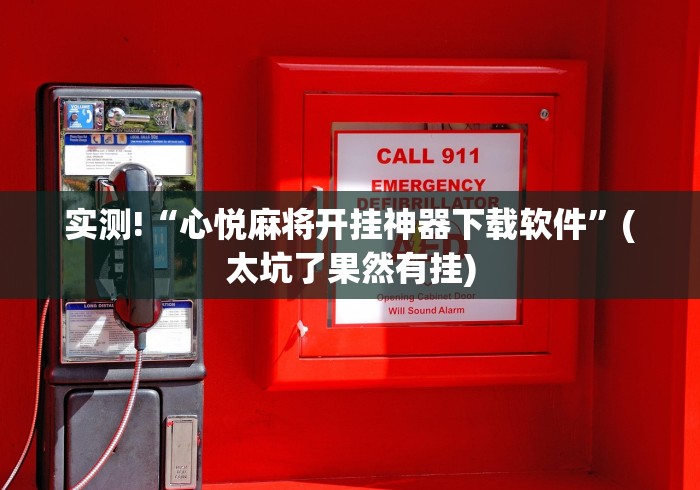 实测!“心悦麻将开挂神器下载软件”(太坑了果然有挂)