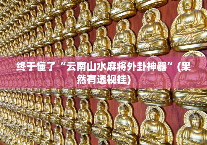 终于懂了“云南山水麻将外卦神器”(果然有透视挂)