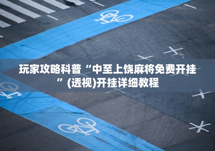 玩家攻略科普“中至上饶麻将免费开挂”(透视)开挂详细教程