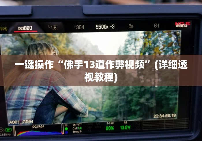 一键操作“佛手13道作弊视频”(详细透视教程)