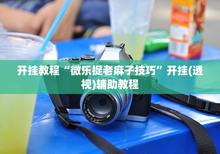 开挂教程“微乐捉老麻子技巧”开挂(透视)辅助教程