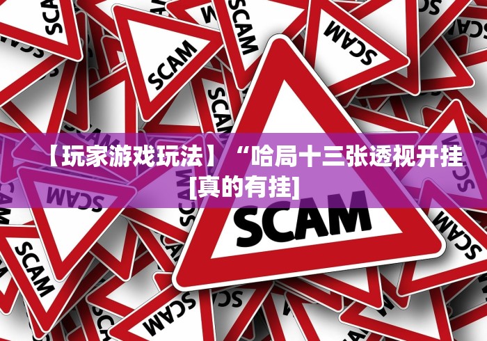 【玩家游戏玩法】“哈局十三张透视开挂[真的有挂]