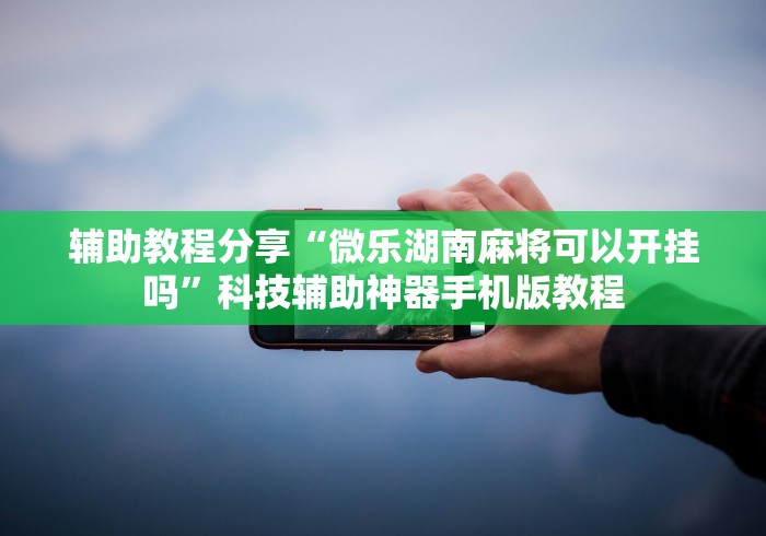 辅助教程分享“微乐湖南麻将可以开挂吗”科技辅助神器手机版教程