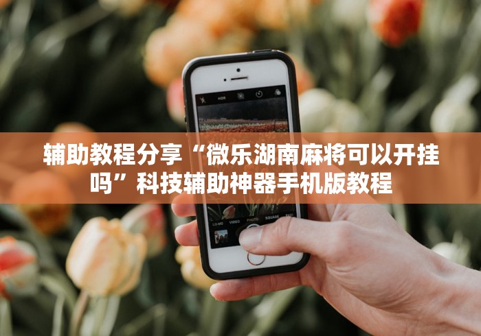 辅助教程分享“微乐湖南麻将可以开挂吗	”科技辅助神器手机版教程