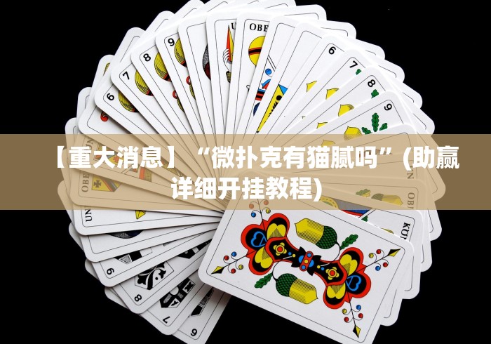 【重大消息】“微扑克有猫腻吗”(助赢详细开挂教程)