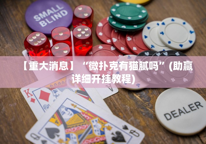 【重大消息】“微扑克有猫腻吗	”(助赢详细开挂教程)