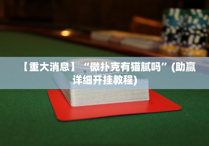 【重大消息】“微扑克有猫腻吗”(助赢详细开挂教程)