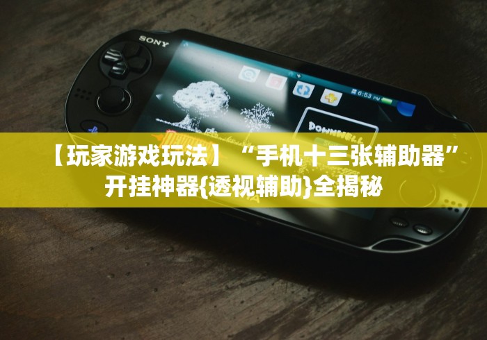 【玩家游戏玩法】“手机十三张辅助器”开挂神器{透视辅助}全揭秘