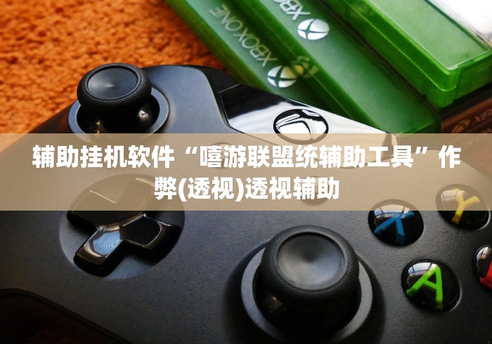 辅助挂机软件“嘻游联盟统辅助工具”作弊(透视)透视辅助