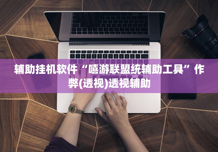 辅助挂机软件“嘻游联盟统辅助工具”作弊(透视)透视辅助