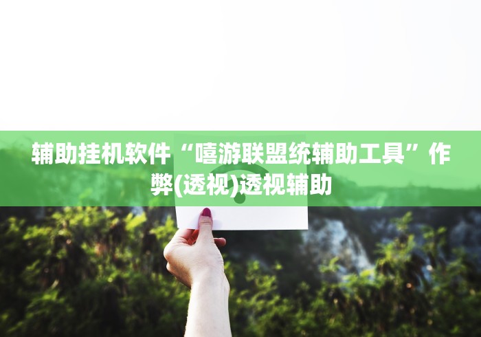 辅助挂机软件“嘻游联盟统辅助工具”作弊(透视)透视辅助