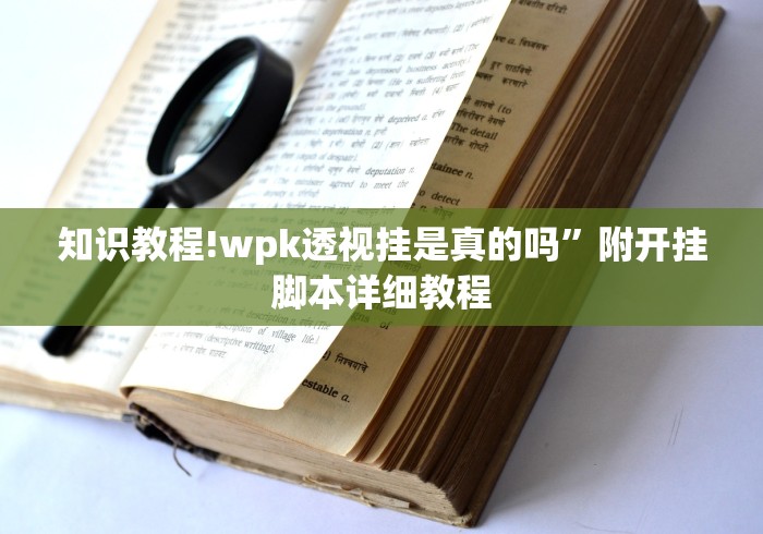 知识教程!wpk透视挂是真的吗”附开挂脚本详细教程