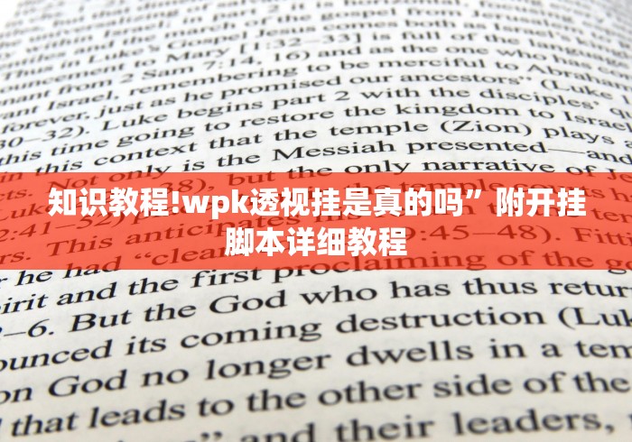 知识教程!wpk透视挂是真的吗”附开挂脚本详细教程