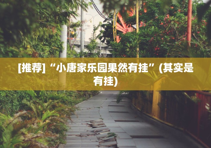[推荐]“小唐家乐园果然有挂”(其实是有挂)