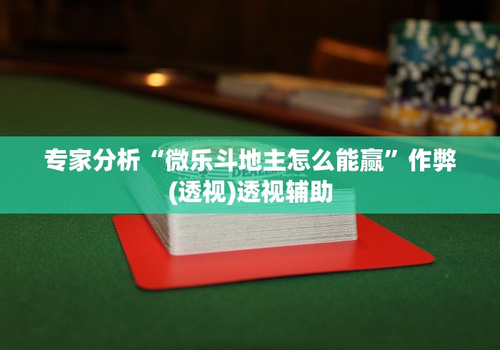 专家分析“微乐斗地主怎么能赢”作弊(透视)透视辅助